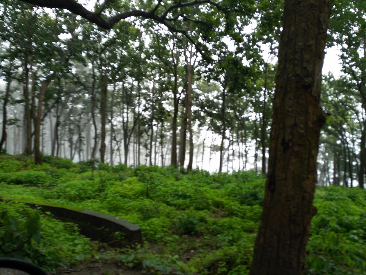 The Residency Amarkantak Bagian luar foto