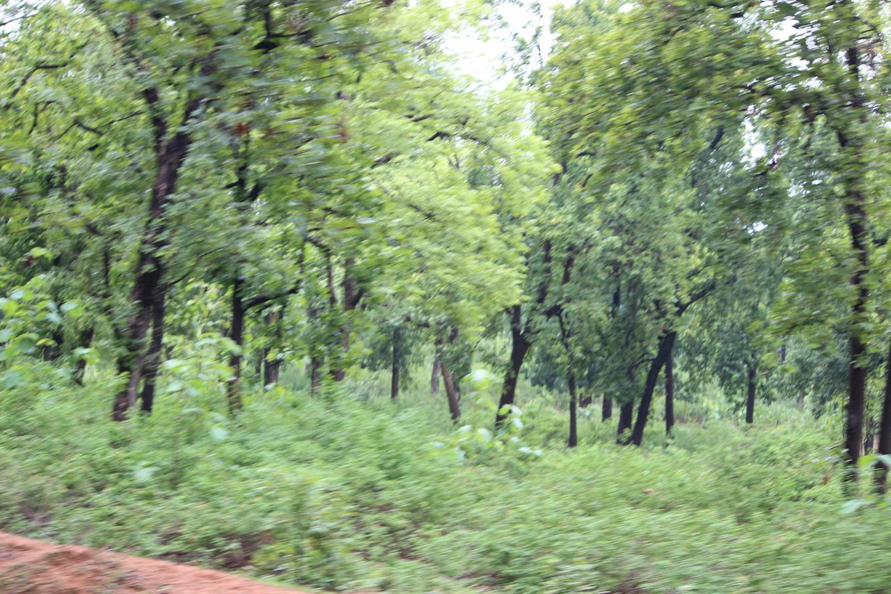 The Residency Amarkantak Bagian luar foto