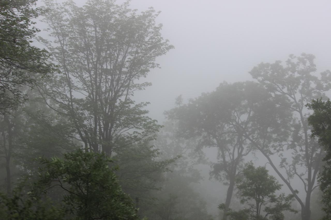 The Residency Amarkantak Bagian luar foto